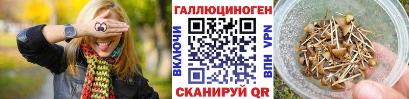 Купить где  Богородск  Галлюциногенные грибы Magic Shrooms 
